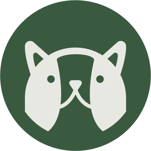 Alt Image